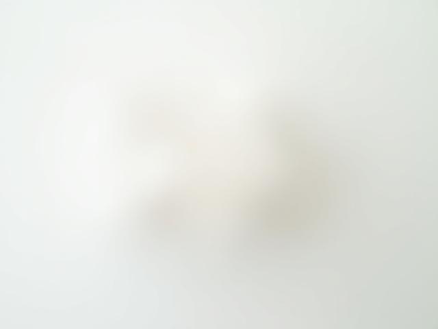 Sculpture en papier délicate et artistique